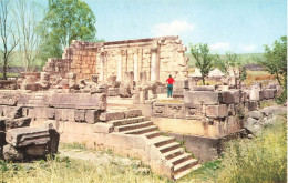 ISRAËL - Capharnaüm - Ruins Of The Anliens Sinagogue At Capernaum - Carte Postale - Israël