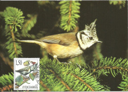 Carte Maximum - Oiseaux - Yougoslavie - Chapim De Poupa - Mesange Huppée - Crested Tit - Parus Cristatus - Tarjetas – Máxima