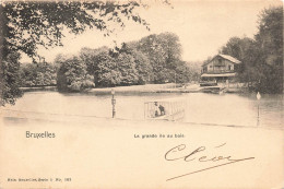 BELGIQUE - Bruxelles - La Grande Ile Au Bois - Carte Postale Ancienne - Bossen, Parken, Tuinen