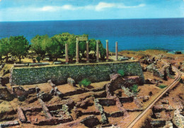 LIBAN - Byblos - Colonnes Greco-Romaines Et Las Ruines Phéniciennes - Carte Postale - Líbano