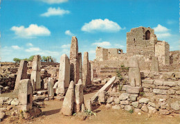 LIBAN - Byblos - Le Temple Des Obélisques Et La Citadelle - Carte Postale - Lebanon