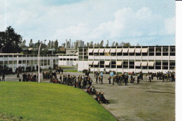 AUCHEL - Le Collège D'Enseignement Technique - Autres & Non Classés