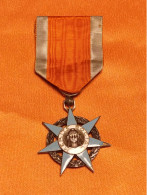 MEDAILLE CHEVALIER MERITE SOCIALE, FRANCE, EMAIL ABIME - Frankrijk