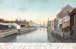 L'Escaut - Termonde  - Dendermonde - Dendermonde