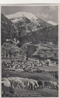 D8734) HOFGASTEIN - Von Der Pyrkerhöhe Mit Schafen Im Vordergrund ALT - Bad Hofgastein