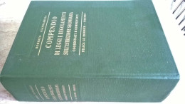 Roberto Giannarelli Compendio Di Leggi E Regolamenti Sull'istruzione Secondaria Coordinati E Commentati Le Monnier 1972 - Rechten En Economie