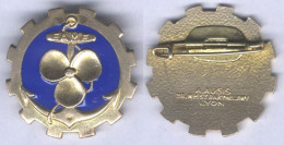 Insigne De L'Ecole Des Apprentis Mécaniciens De La Flotte - Navy