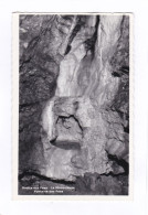 CPSM :  14 X 9  -  Grotte  Aux  Fées.  -  La  Miraculeuse  Fontaine  Des  Fées  St. Maurice  (VS) - Saint-Maurice