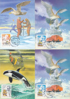 SOUTH POLE, ANTARCTIC RESEARCH, WHALE, BIRDS, ICE BREAKER, HELICOPTER, CM, MAXICARD, CARTES MAXIMUM, 6X, 1987, HUNGARY - Sonstige & Ohne Zuordnung