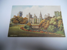 ANGLETERRE ROYAUME UNI CARTE COULEUR ANCIENNE    CARDIFF CASTLE CHATEAU N°A1257  DUNDEE  AND LONDON - Glamorgan