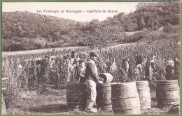 CPA - LES VENDANGES EN BOURGOGNE - Cueillette Du Raisin -Belle Animation - Bourgogne