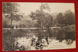 CPA  - Rueil -(S.-et-O.) - Etang De Saint Cucuphat - Rueil Malmaison