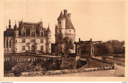 CARTOLINA NUOVA Chenonceaux - Centre-Val De Loire