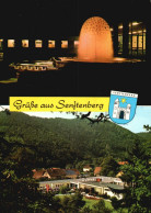 AK - Senftenberg , Institut - Senftenberg