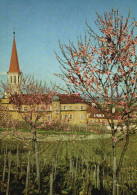 AK - Gumpoldskirchen - Mödling