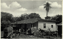 Costa Rica, C.A., Casa Campestre, Ox Cart (1920s) Postcard - Costa Rica