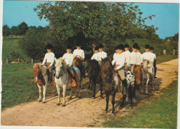 Mayenne : LASSAY , élevage De Lauriere , P. Rebulard , Poneys En Ballade - Lassay Les Chateaux