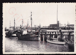 Zeebrugge - Port De Pêche - Postkaart - Zeebrugge