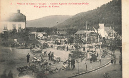 Celles Sur Plaine * Comice Agricole , Vue Gérénale Du Comice * Machines Agricoles Agriculture - Sonstige & Ohne Zuordnung