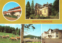 AK - Brotterode , Inselberg , Siedlerstraße , Jugendherberge - Schmalkalden