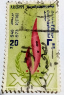 Egypt 1973 - Human Rights, Mi. 1143 - VF , Rare Slogan - Gebruikt