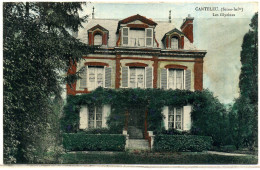 Cpa Canteleu Villa "les Glycines",  Beau Plan - Canteleu