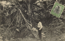 Costa Rica, C.A., Harvesting Bananas (1910s) Postcard - Costa Rica
