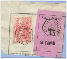 _V769: BRUXELLES(NORD):SP11/ Fragment +" étiquette " PETITS PAQUETS N° 34 & 35 Type Bb:  4 AVRIL ---- 1887 >  St TROND - Documenti & Frammenti