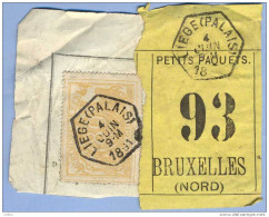 _V693:LIEGE(PALAIS)>BRUXELLES(NORD):SP12/ Fragment Met " étiquette " PETITS PAQUETS: N° 93: Type B: - Documenti & Frammenti