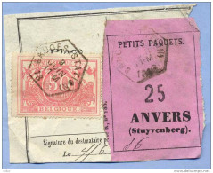 _V746: BRUGES(STATION)> ANVERS(STUYVENBERG)SP11/ Fragment Met " étiquette " PETITS PAQUETS: N° 25: Type B: - Documentos & Fragmentos