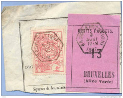 _V742: BRUGES(STATION) > BRUXELLES(ALLE VERTE): SP11/ Fragment Met " étiquette " PETITS PAQUETS: N° 13: Type B: - Documentos & Fragmentos