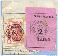 _V768:BRUXELLES(DUQUENOY)  > MALINES:  SP11/ Fragment Met " étiquette " PETITS PAQUETS: N° 2: Type B : - Dokumente & Fragmente