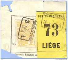 _V857:BRUXELLES-MIDI 3 __A  7  MARS 1891  >  LIEGE: SP12/ Fragment Met  " étiquette " : PETITS PAQUETS:73: - Documentos & Fragmentos