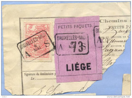 _V887: BRUXELLES-MIDI  A__S   6 MAI  ___> LIEGE : Geen Jaartal: SP11/ Fragment Met   " étiquette  PETITS PAQUETS : N° 73 - Documenten & Fragmenten