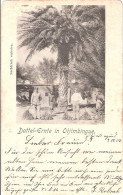 DSWA Deutsch Südwest Afrika OTIMBINGWE 7.12.1902 Gelaufen - Ehemalige Dt. Kolonien