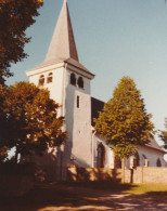 Bullange Wirtzfeld église  Photo  11 X 9 Cm - Bullange - Bullingen