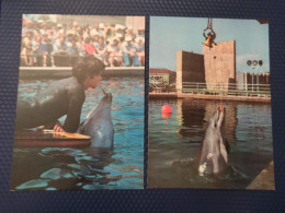 OLD Soviet POSTCARD -  Georgia, Batumi Zoo Oceanarium. Georgia  - DOLPHIN - 2 PCs Lot 1980 - Dolfijnen