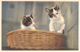 FANTAISIE - Chats - CHAT - Animaux Et Faune - CATS - Carte Postale - Chats