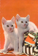 FANTAISIE - Chats - CHAT - Animaux Et Faune - CATS - Carte Postale - Chats