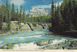 AK 181627 CANADA - British Columbia - Yoho National Park - The Natural Bridge - Autres & Non Classés