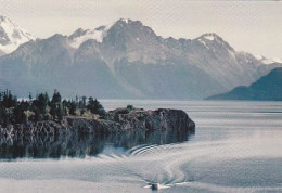 AK 181632 CANADA - British Columbia - Chilko Lake - Autres & Non Classés
