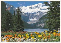AK 181643 CANADA - Alberta - Lake Louise - Lac Louise