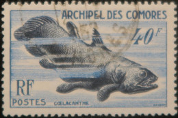 LP3972/5 - 1954 - COLONIES FRANÇAISES - COMORES - COELACANTHE - N°13 Oblitéré - Cote (2024) : 25,00 € - Used Stamps