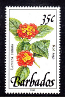 BARBADOS - 1992 35c FLOWER RED SAGE STAMP FINE MNH ** SG 895a - Barbados (1966-...)