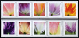 Etats-Unis / United States (Scott No.5776a - Tulips) [**] Coil Set Of 10 - Neufs