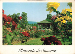 FRANCE - Saverne - Roseraie De Saverne - Vue Générale - Le Pavillon - Carte Postale - Saverne