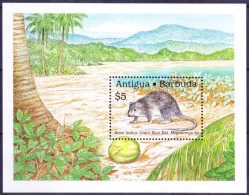 Antigua And Barbuda 1989 MNH MS, West Indies Giant Rice Rat, Rodents - Rongeurs