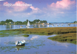 FRANCE - Les Tranquilles Rives Orientales Du Golfe Entre Séné Et Saint-Armel - Carte Postale - Other & Unclassified