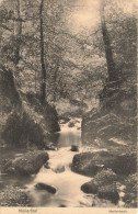 LUXEMBOURG - Müllerthal - Hallerbach - Rivière - Carte Postale Ancienne - Müllerthal