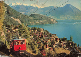 SUISSE - Vitznau - Lac Des Quatre-Cantons Avec Le Chemin De Fer Du Rigi Et Les Alpes De Nidwald - Carte Postale - Vitznau